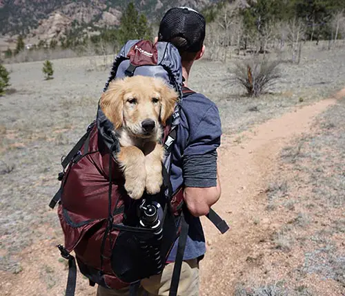 size your backpack with extra space